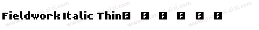 Fieldwork Italic Thin字体转换